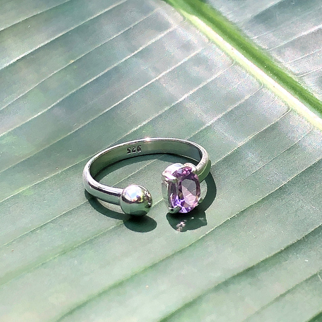 ANILLO AMET